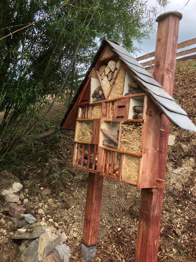Ferienhaus Chilllout Chalets Daun-Kradenbach Εξωτερικό φωτογραφία